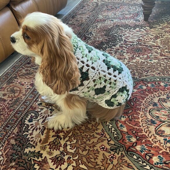Dog Sweater XS Green Brown Crochet Handmade Granny Chihuahua, Yorkie, Teacup - Picture 8 of 10